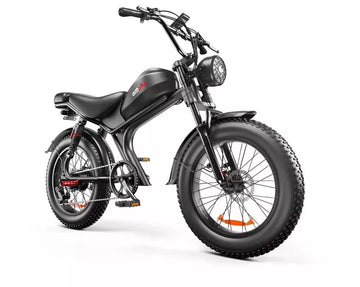 Emoko C93 Electric Bike 100OW Off-road Ebike 48V 20h 20*4" E-BIKE MTB 7 Speeds