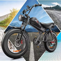 Emoko C93 Electric Bike 100OW Off-road Ebike 48V 20h 20*4" E-BIKE MTB 7 Speeds