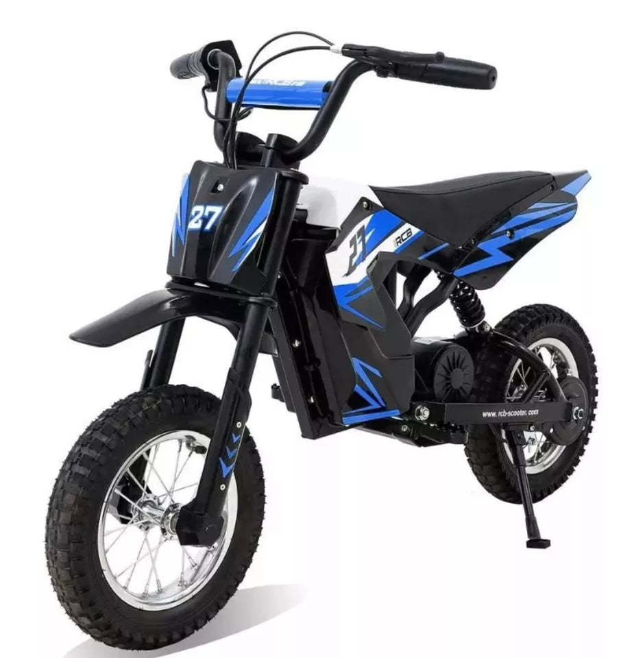 RCB R9X 12" Kid Electric Motorcycle 300W Motor 36V 15.5 mph Off-Road E-Bike