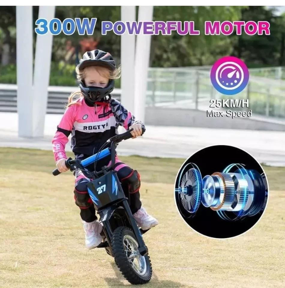 RCB R9X 12" Kid Electric Motorcycle 300W Motor 36V 15.5 mph Off-Road E-Bike