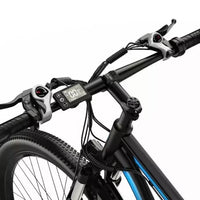 75OW DUOTTS C29 29in E-MTB Electric Bike 48V E-Mountain Bike Urban Commuter Bike