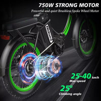 NEW Hidoes 20" Folding Electric Bike 75OW Motor 13AH Fat Tire E-Bike For Adults