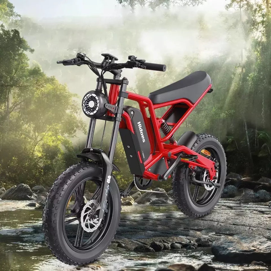 Hidoes B6 Mountain E-Bike 12OOW 48V 15.6Ah Battery 20" Fat Tyres 7-Speed