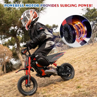 Electric Motorcycle EV12M Evercross Logo 300W Motor 36V/4AH E Bike for Kid