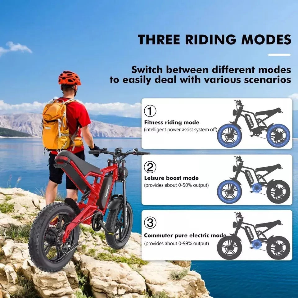 Hidoes B6 Mountain E-Bike 12OOW 48V 15.6Ah Battery 20" Fat Tyres 7-Speed