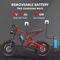 Hidoes B6 Mountain E-Bike 12OOW 48V 15.6Ah Battery 20" Fat Tyres 7-Speed